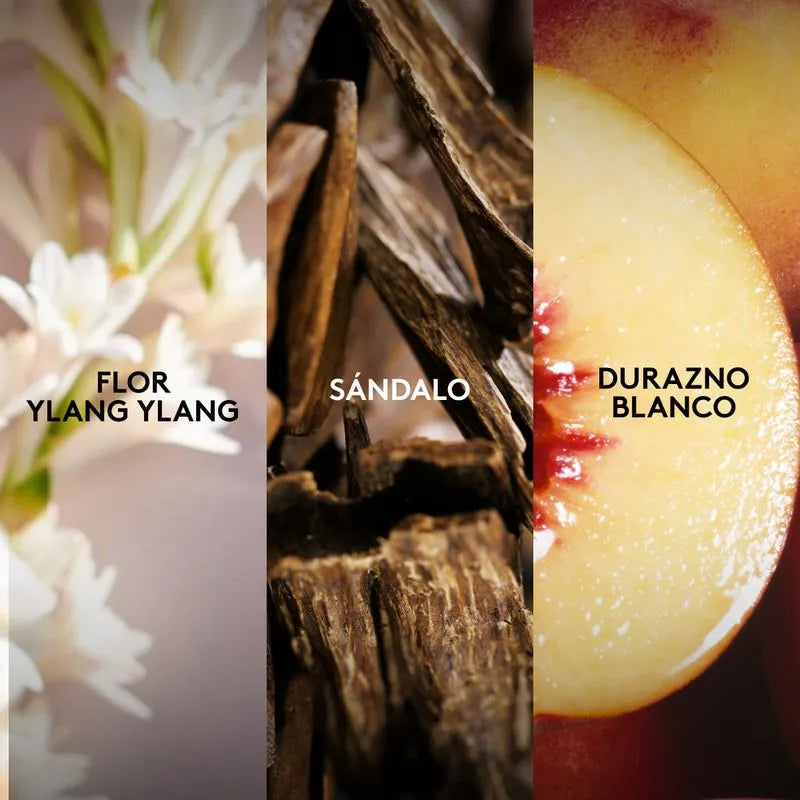 PERFUME EXPRESSION CELEBRATE