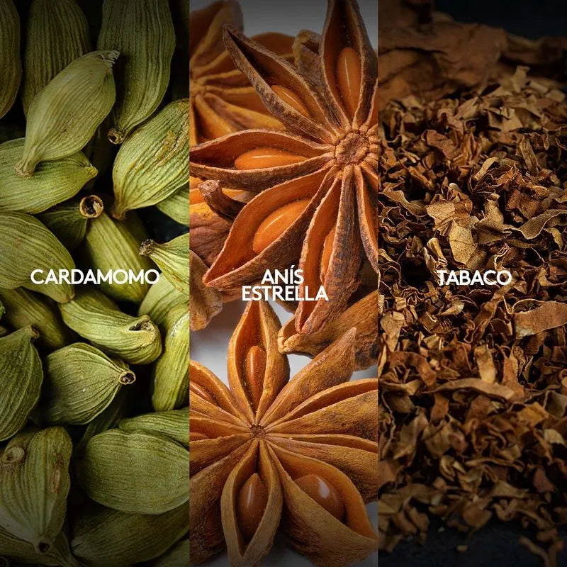 PULSO ABSOLUTE 100ml