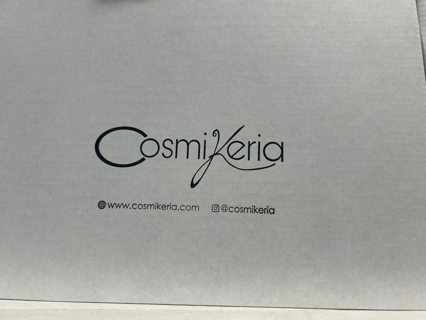 CAJA CHICA