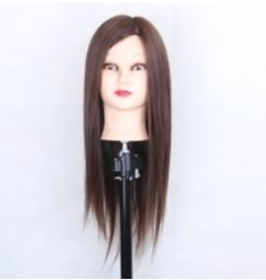 CABEZA TÉCNICA DE ESTUDIO 100% NATURAL 60cm CON SOPORTE SIN PEDESTAL