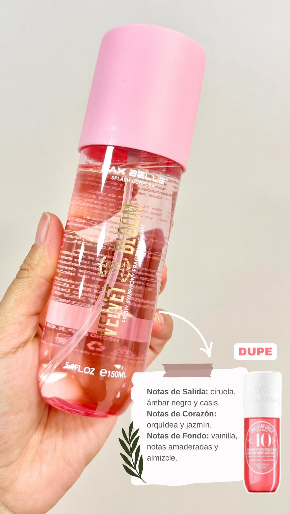 SPLASH CORPORAL VELVET BLOOM 150ml