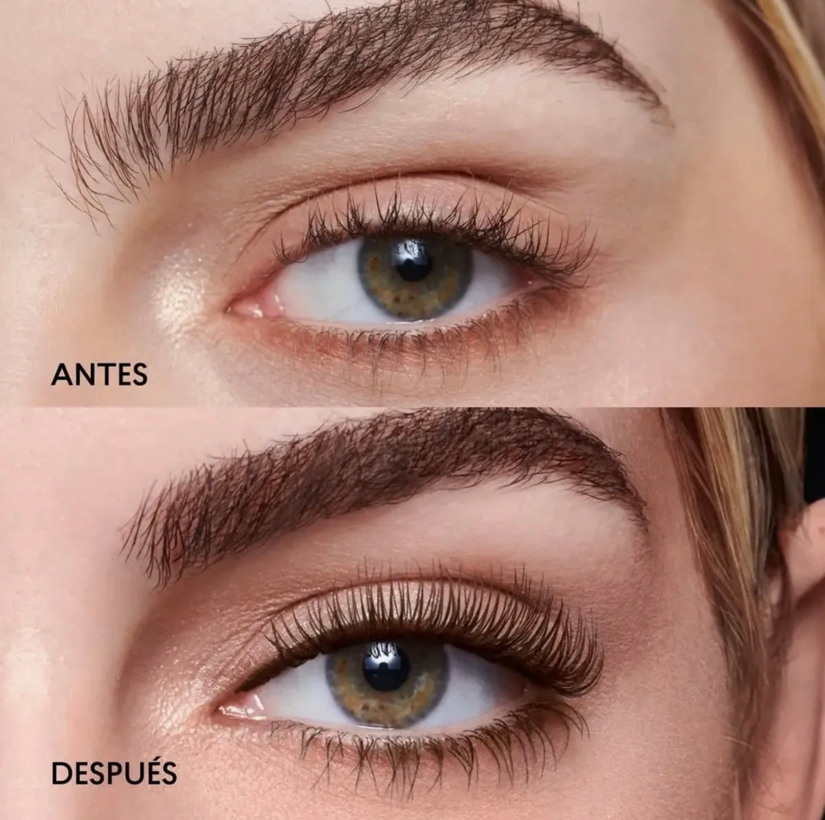 MASCARA DE PESTAÑAS MOCCA (CAFE) MAGNETIC LASH CYZONE