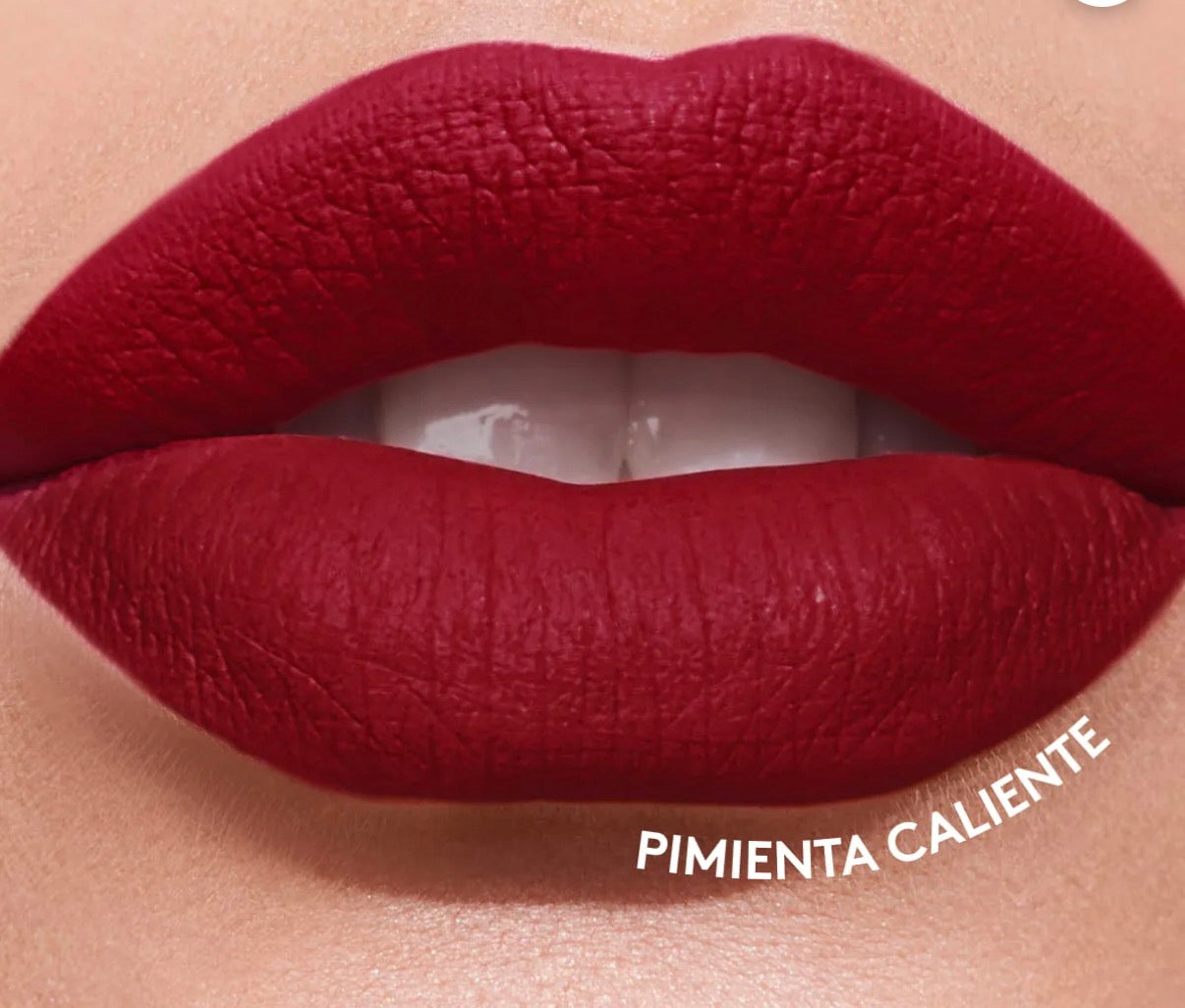 LABIAL MATE COLOR ADDICTION 4g PIMIENTA CALIENTE ESIKA