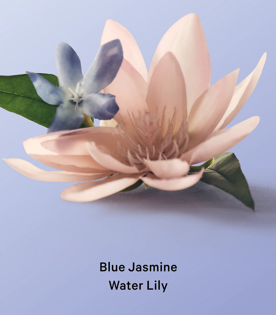 MIST CORPORAL BLUE JASMINE WATER LILY