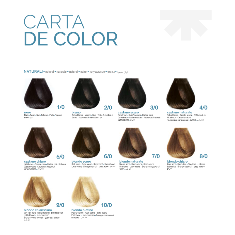 PROCOLOR TINTE 100ML + OXIDANTE 150ML